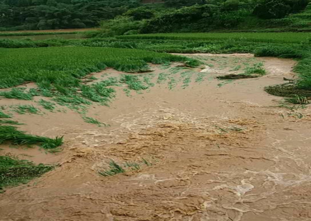 1498005996926732.jpg 1498005996926732.jpg