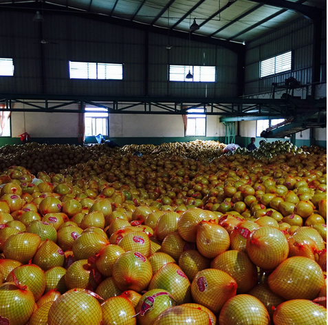 1498102804522190.png Z7PV~4G4T{AVF17G09Q~QWV.png