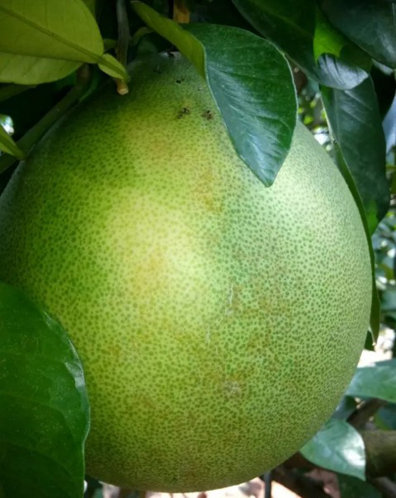 1502091422610147.jpg 4.JPG