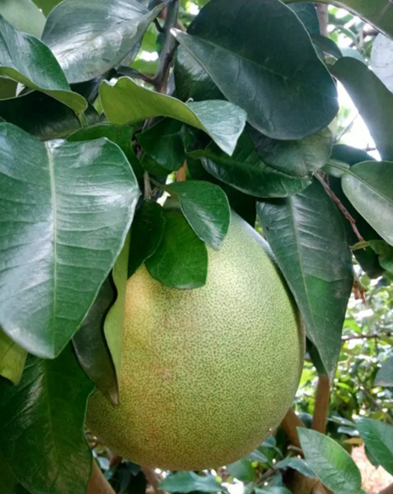 1502091435987923.jpg 5.JPG