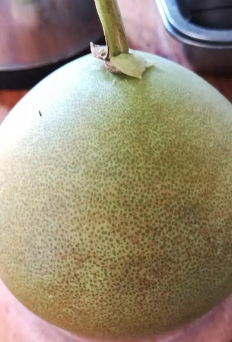 1502091469948936.jpg 7.JPG