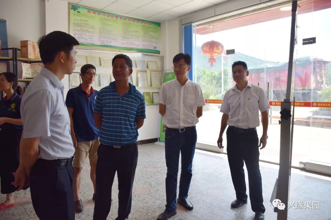 1533175952141402.jpg 2.webp.jpg