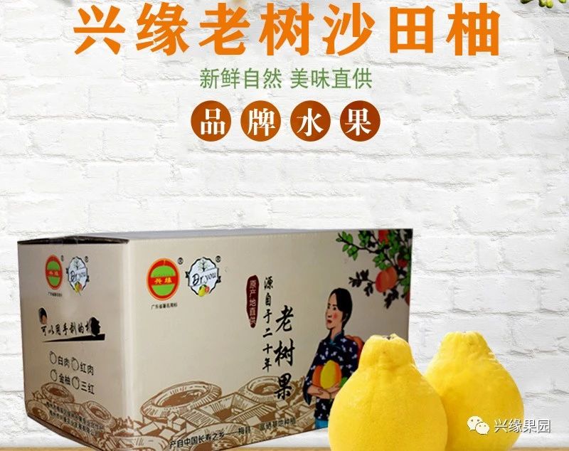 1738910871347094.jpg 2-2.jpg