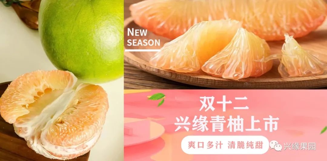 1738911335688852.jpg 3.jpg