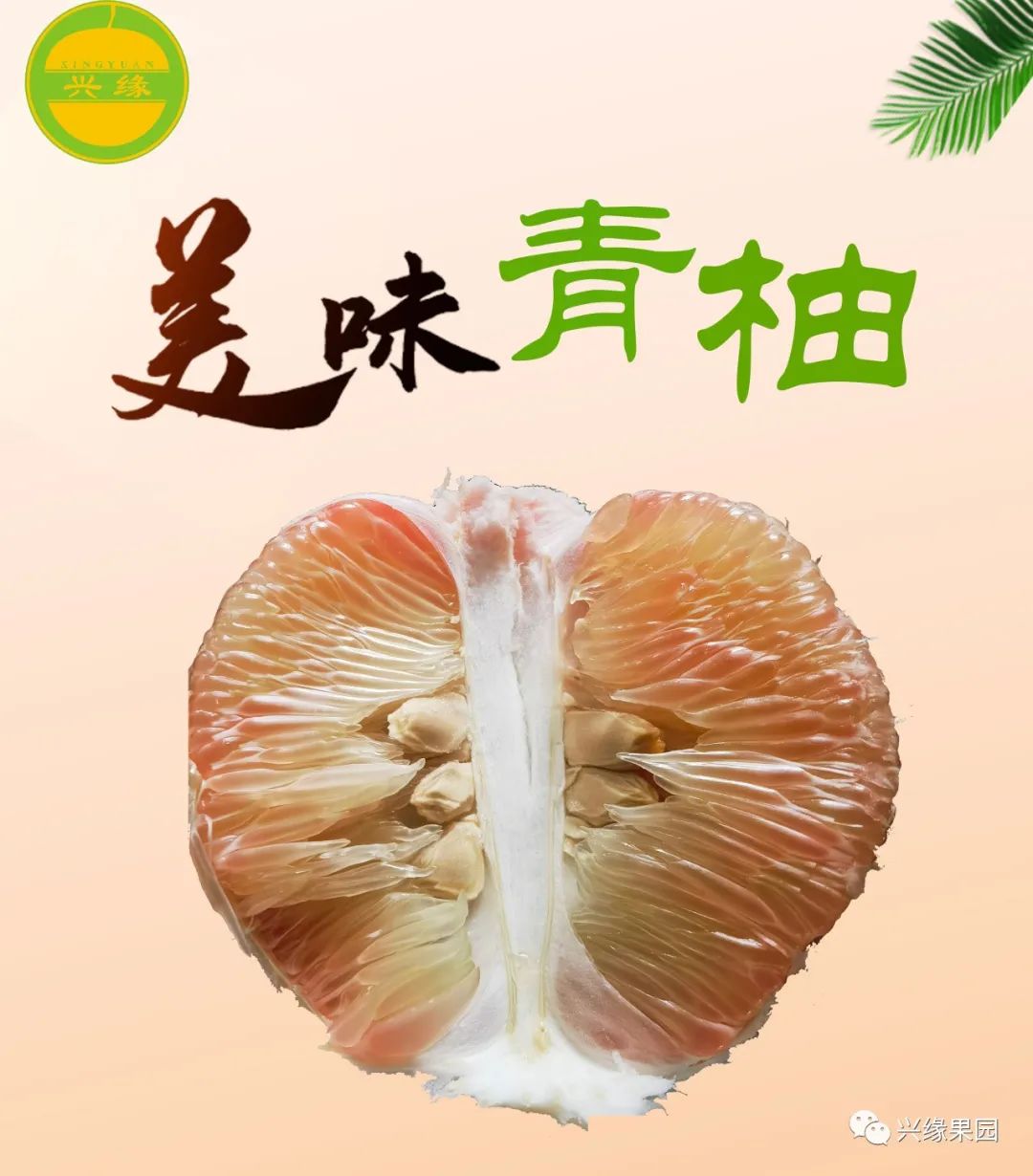 1738911349135205.jpg 3-1.jpg