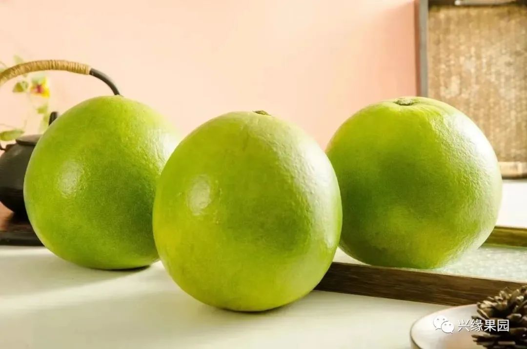 1738911363520770.jpg 3-2.jpg