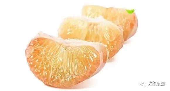 1738911374244592.jpg 3-3.jpg