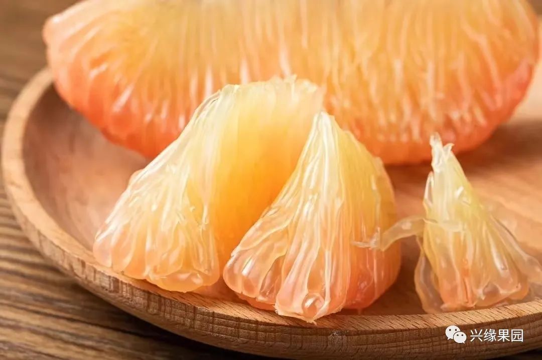 1738911386898460.jpg 3-4.jpg