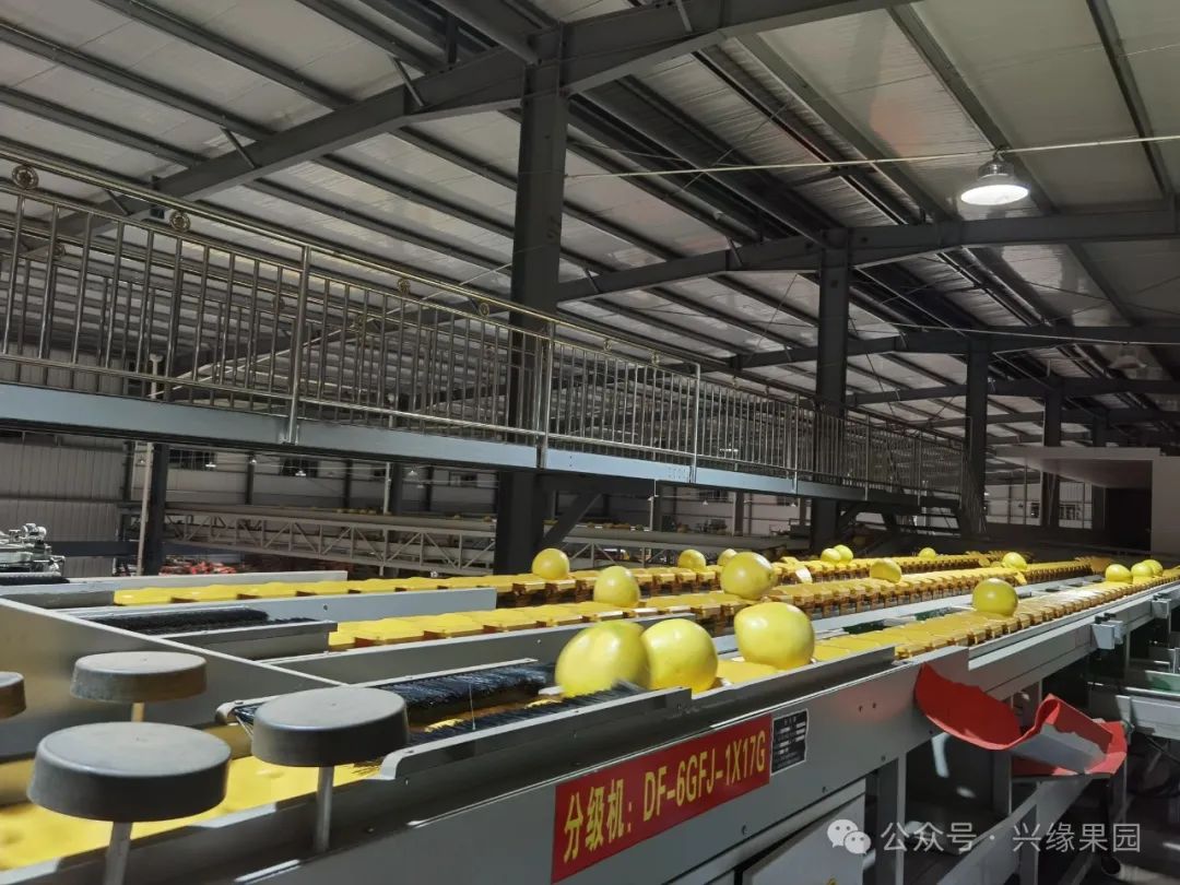 1738911831981511.jpg 4-4.jpg