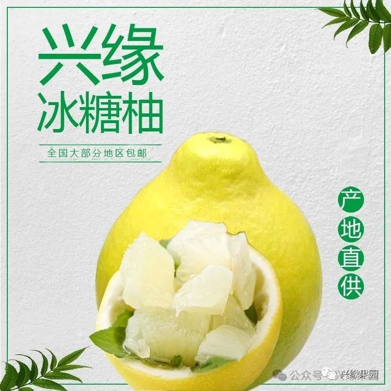 1738912384129413.jpg 5.jpg