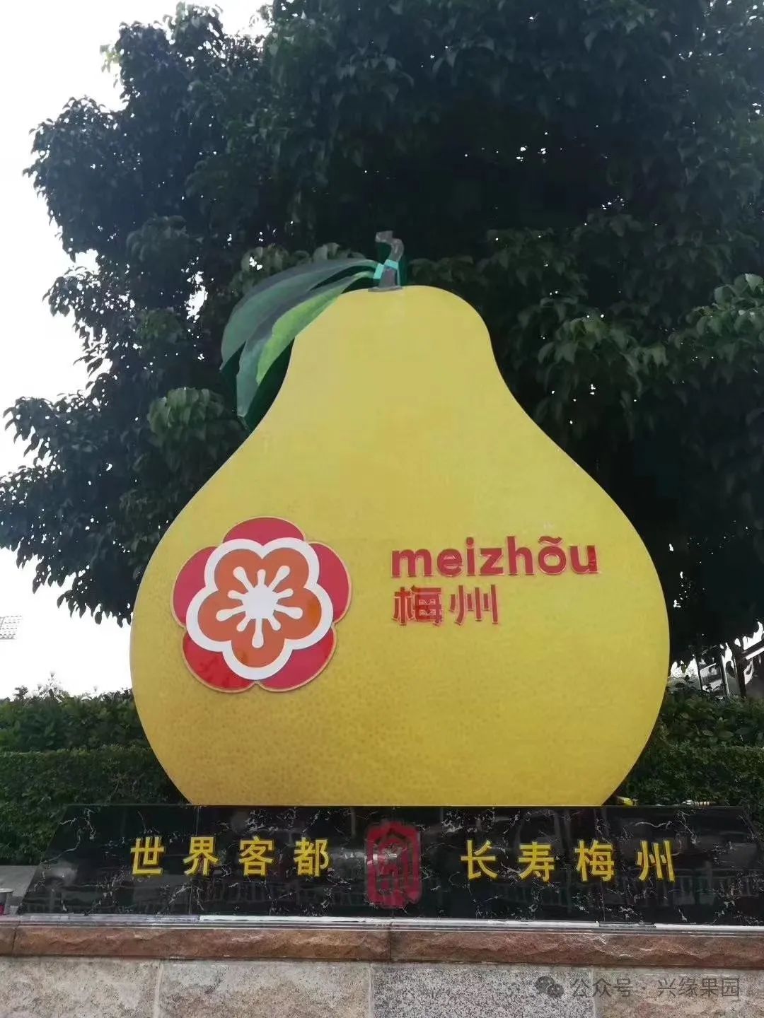 1738912475117670.jpg 5-5.jpg