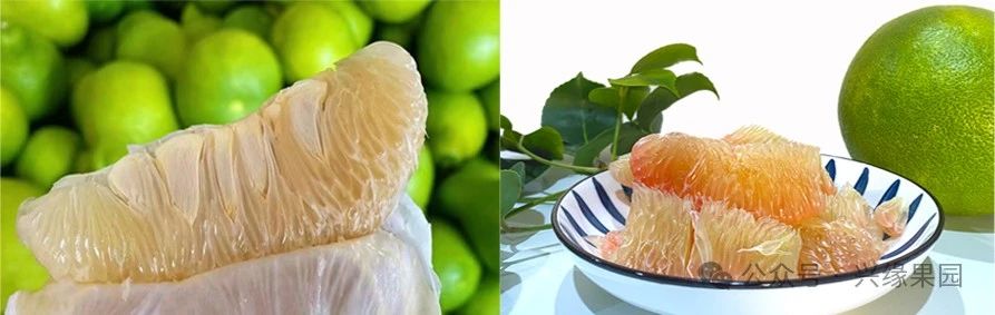 1738914224106985.jpg 6.jpg