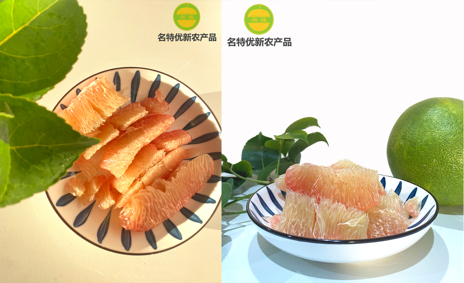 1739004461421840.jpg 微信图片_20250208164256.jpg