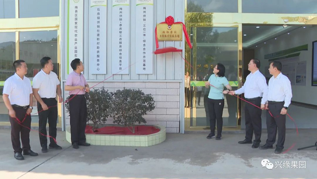 1742272700814462.jpg 1738908864425110.jpg