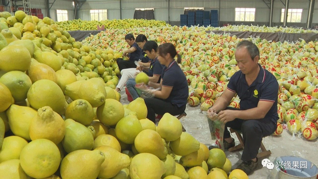 1742272793655589.jpg 1738908969123045.jpg